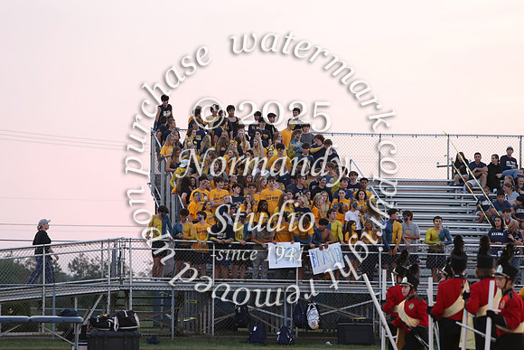 DVH_fans_12