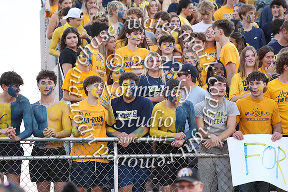 DVH_fans_15