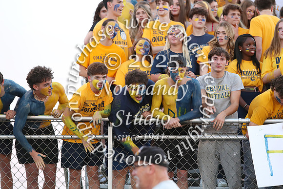 DVH_fans_16