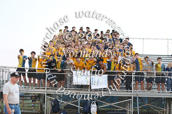 DVH_fans_20