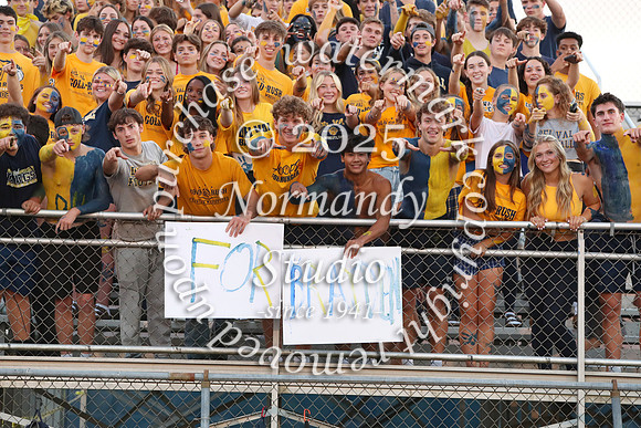 DVH_fans_22