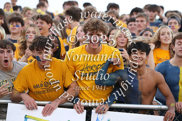 DVH_fans_23