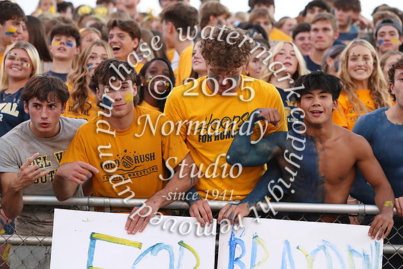 DVH_fans_24