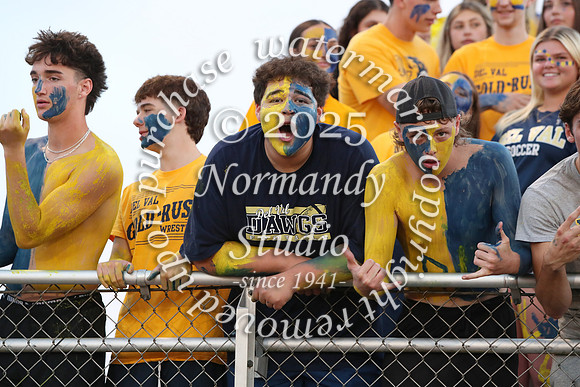 DVH_fans_26