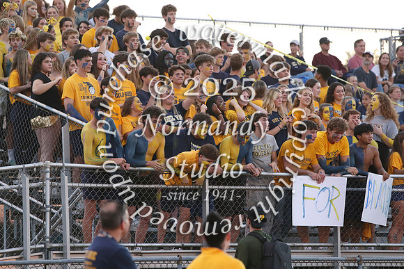 DVH_fans_33