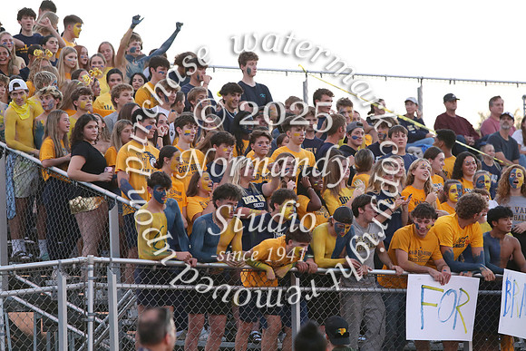 DVH_fans_34
