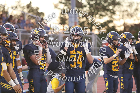 DVH_fb_60