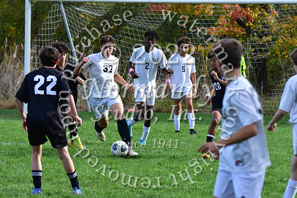SVL_so-b-f_35