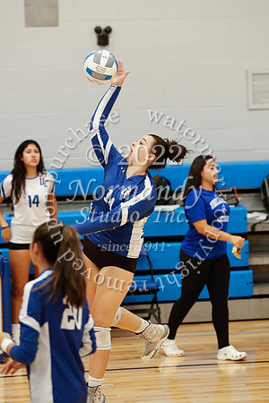 UCH_vb-g_040