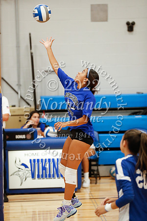UCH_vb-g_016