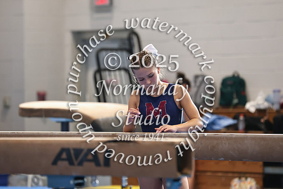 MNP_gy_15
