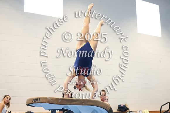 MNP_gy_29