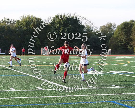 MNP_so-g_04