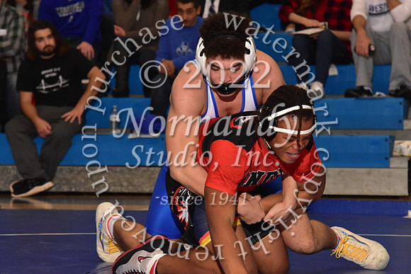 WHS_wr_41