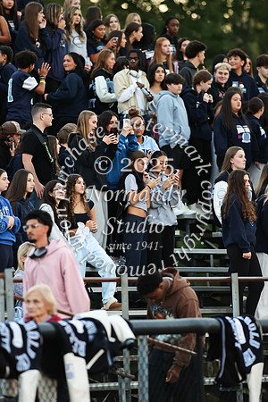 FTH_fans_07