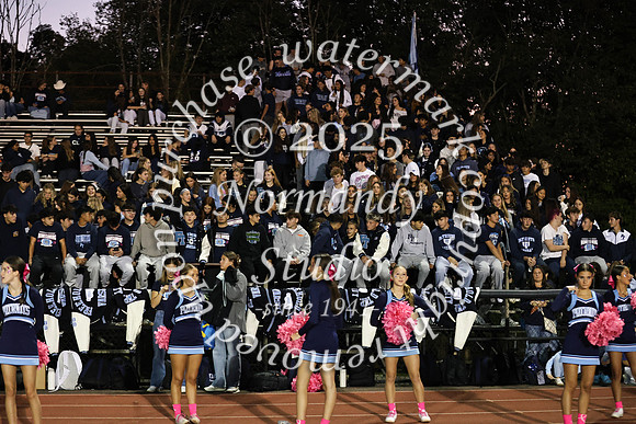 FTH_fans_44