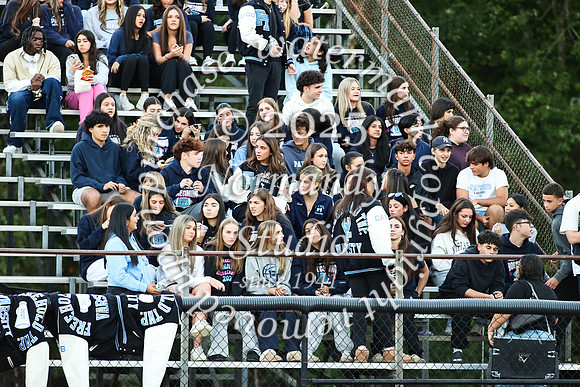 FTH_fans_02