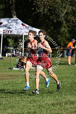 BER_cc-b_09