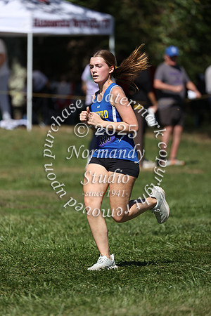 CHS_cc-g_03