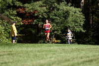 MSM_cc_19