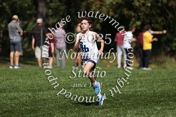 SHP_cc_10