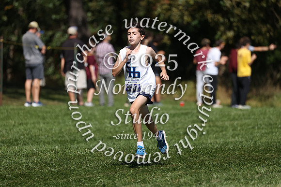 SHP_cc_11