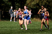 WHS_cc-g_03