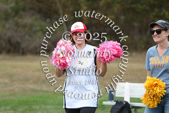 DVH_unified-so_49