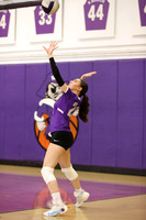 TOT_vb-g_19