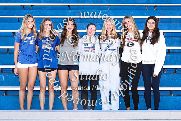 WHS_cc-g-t_07