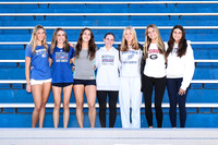 WHS_cc-g-t_06