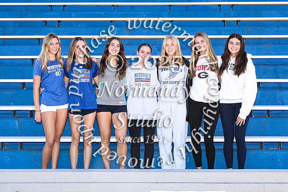 WHS_cc-g-t_06