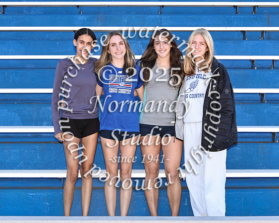 WHS_cc-g-t_10