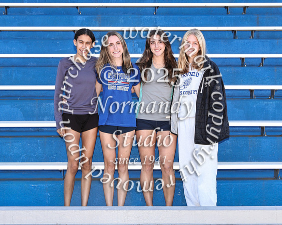 WHS_cc-g-t_11