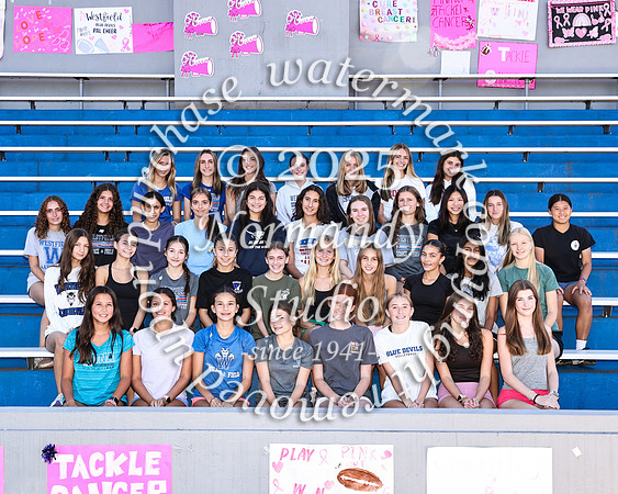 WHS_cc-g-t_05