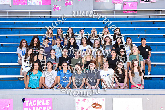 WHS_cc-g-t_04