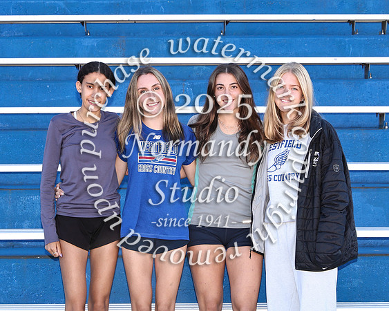 WHS_cc-g-t_12