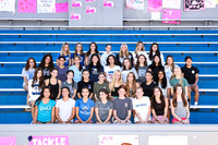 WHS_cc-g-t_02