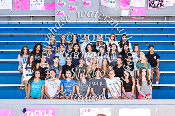 WHS_cc-g-t_02