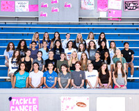 WHS_cc-g-t_01