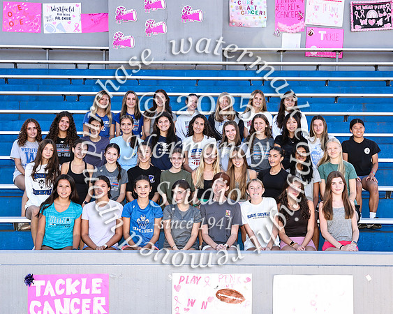 WHS_cc-g-t_01