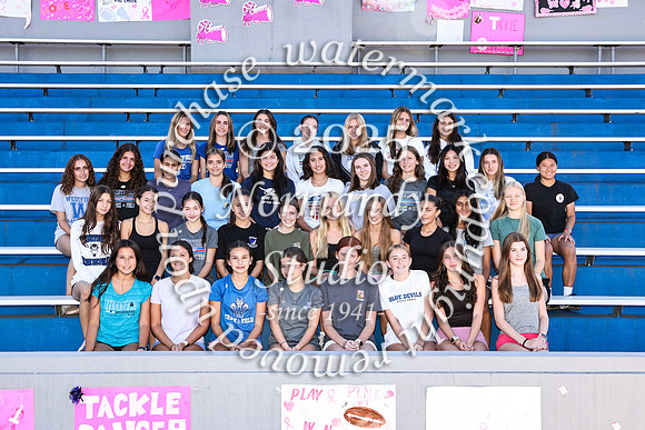 WHS_cc-g-t_03