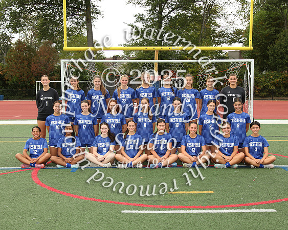 WHS_so-g-t_02