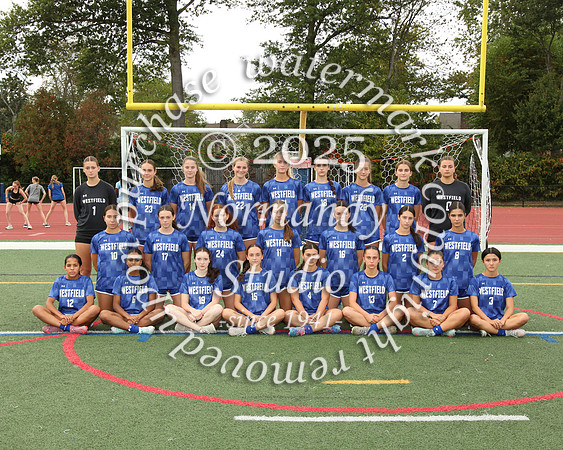 WHS_so-g-t_01