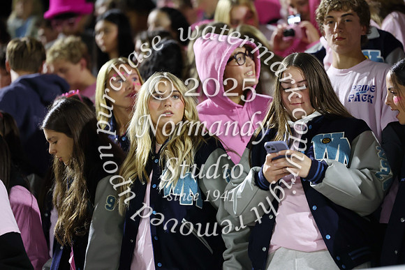 WMC_fans_10