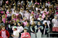WMC_fans_06