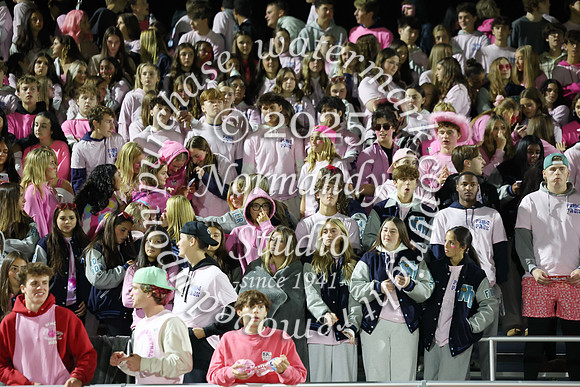 WMC_fans_06