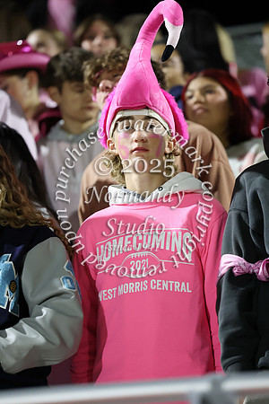 WMC_fans_17