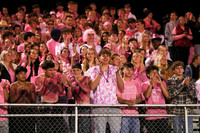 DVH_hc_10