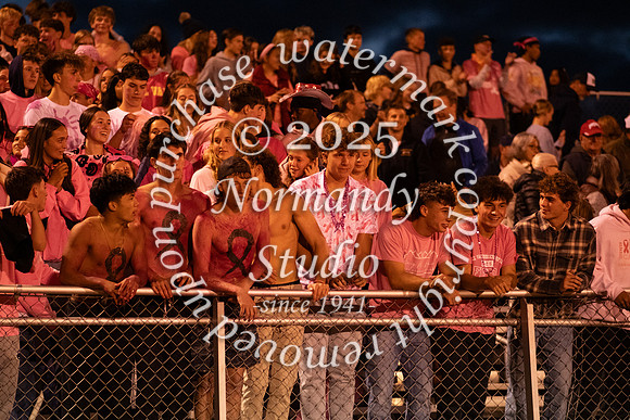 DVH_hc_09